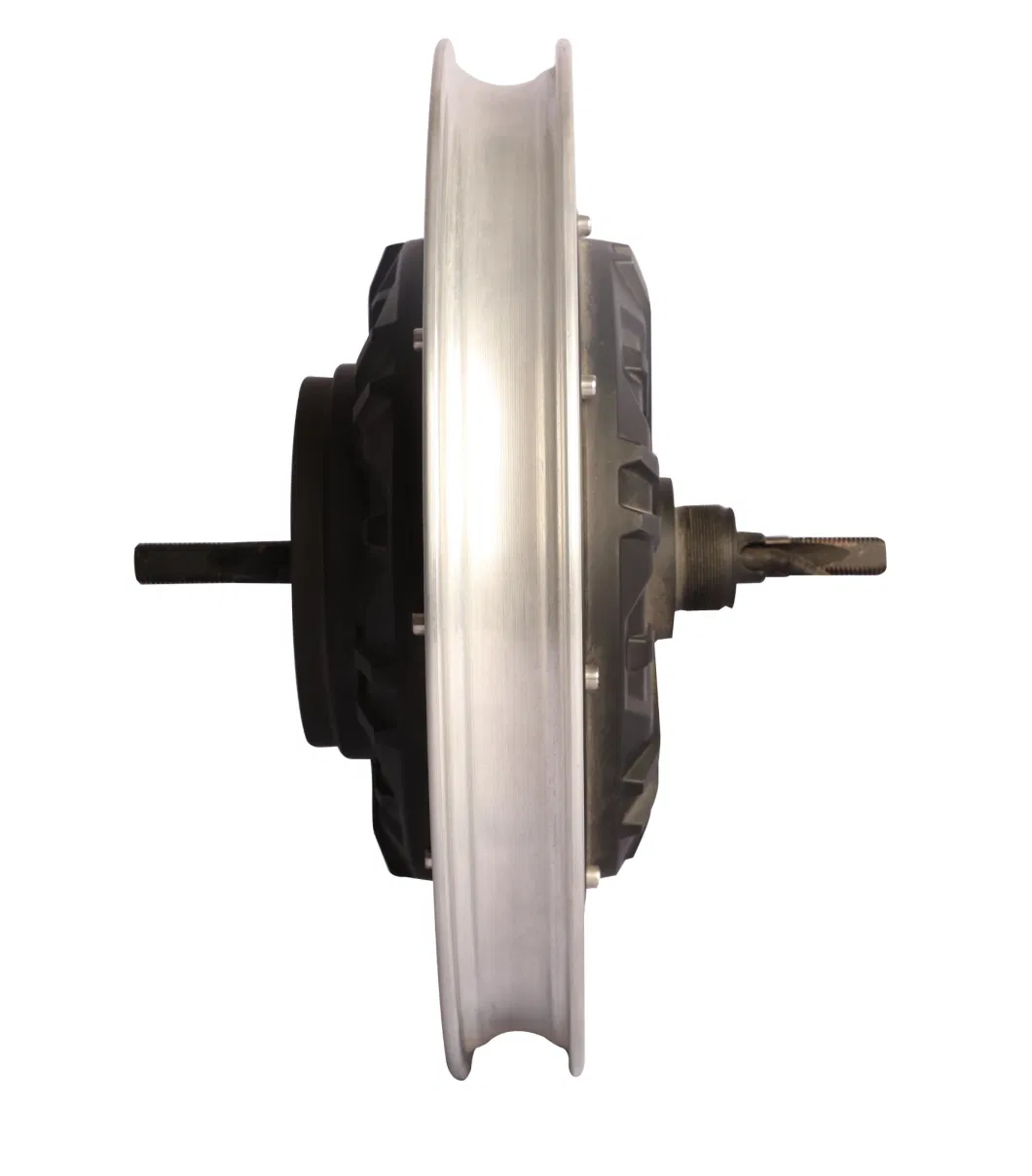 16inch DC36V-48V 180W-500W Motor Used for E-Bike