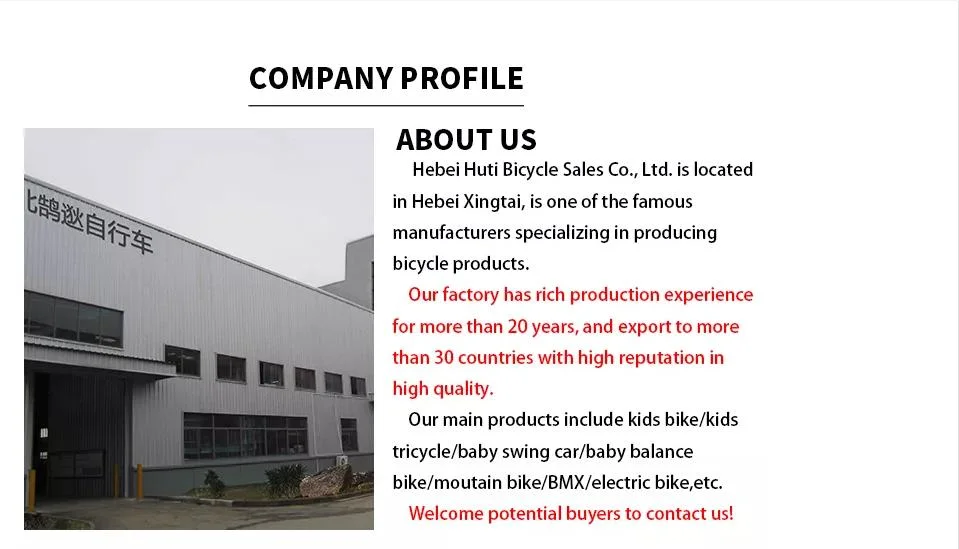 Hebei Manufacturers Supply New Electric Bicycles