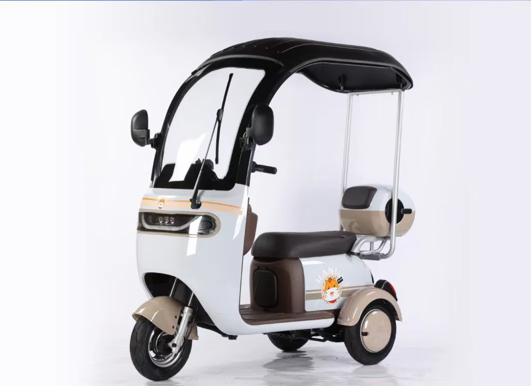 Best Quality Factory Electric Passenger Tricycle for Adults