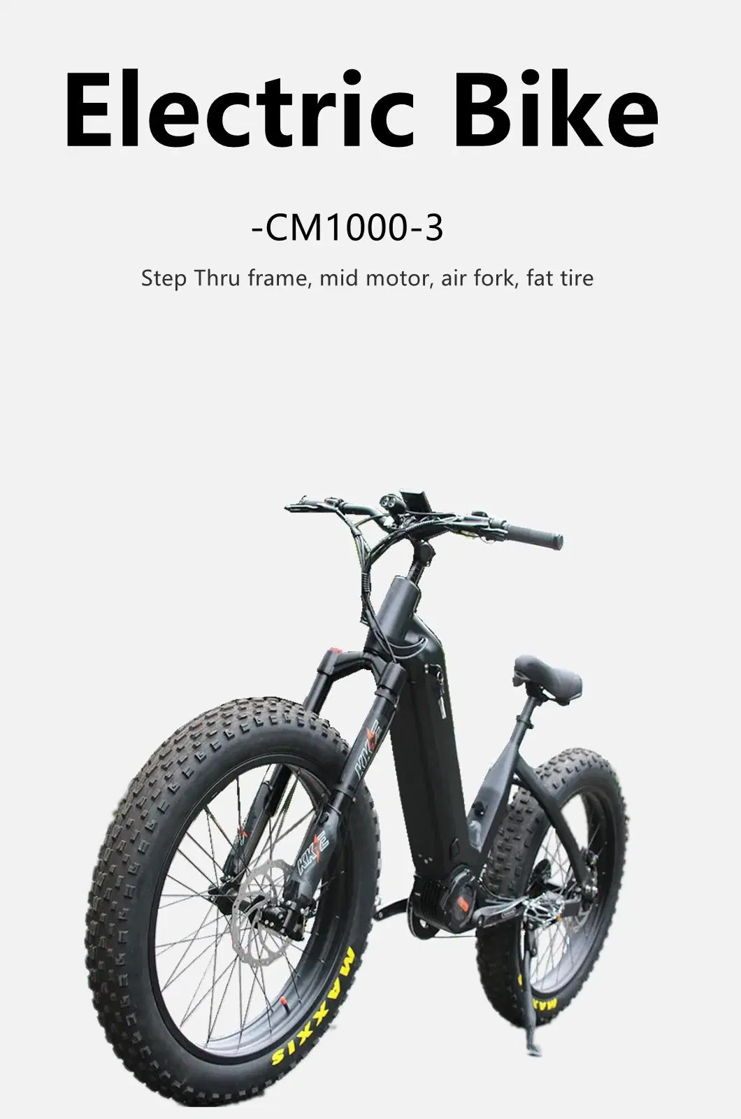 Aluminum Alloy Step Thru Frame E-Bike 1000W MID Motor 48V 30ah Lio Battery Electric Fat Bike