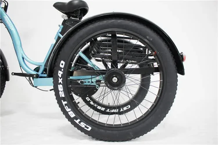 China Supplying 48V 800W Rear Hub Motor Electric Bike 20ah Lithium Battery Snow E Trike for Sale