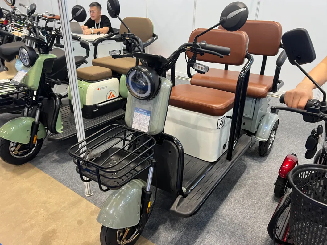 48V/60V/72V 600W/800W Electric Tricycle Auto Rickshaw Mini Trike