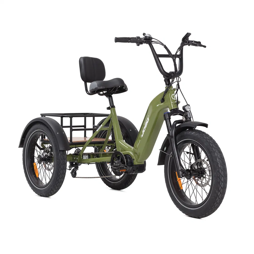 Hot Sale Folding Electric Cargo Bike 48V 500W Fat Tire Electric Tricycle Electric Trikes