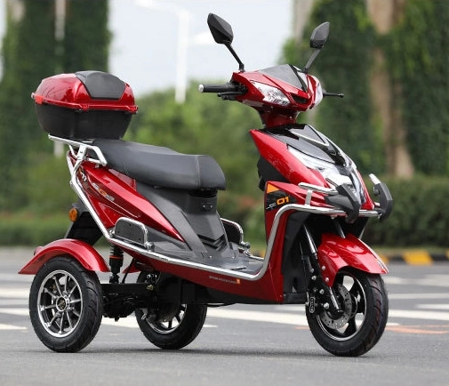 Pardo Zs-T Fashionable Tricycle with Lead-Acid Battery