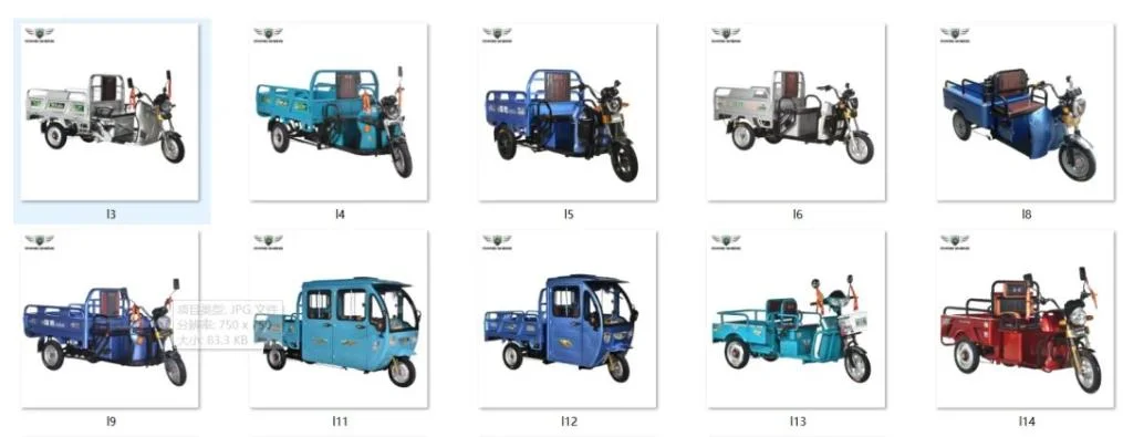 Qiangsheng 2021 New Design Electric Tricycle for Express, Post Delivery Hot Sale for Export