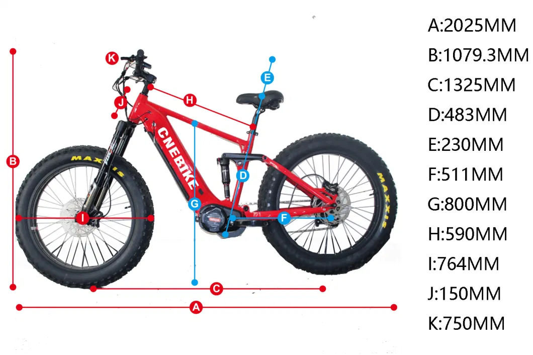 Fat Tire 48V 750W/1000W High Quality Lady Man City Pedelec E-Bicycle Ebikes