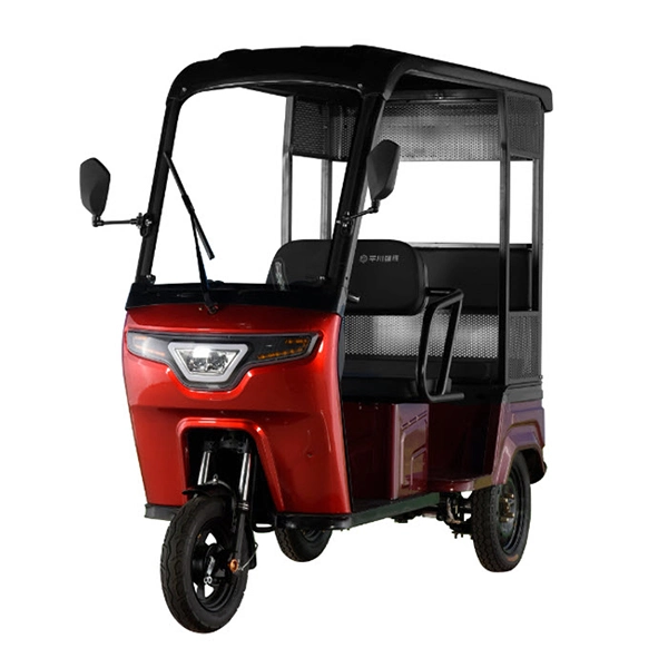 60V 4000W Electric Rickshaw for Cargo Use OEM Loader Tricycle