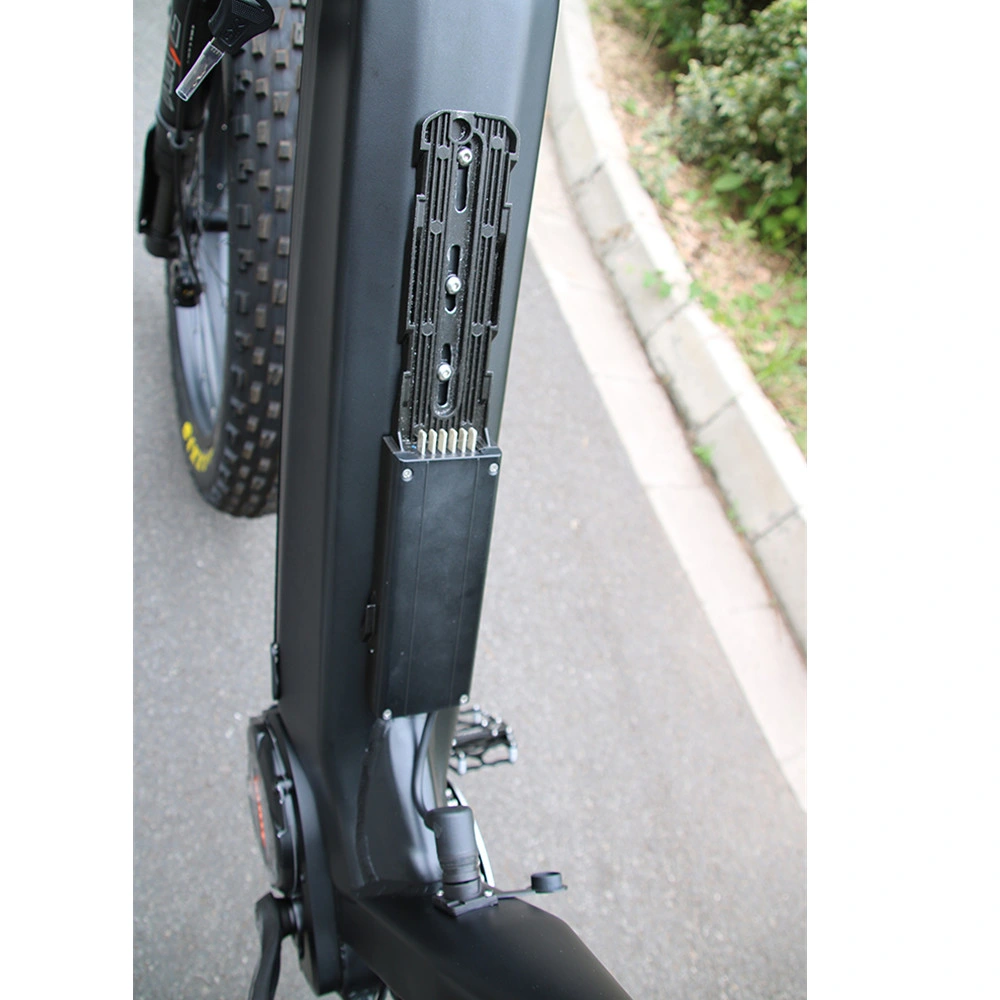 Aluminum Alloy Step Thru Frame E-Bike 1000W MID Motor 48V 30ah Lio Battery Electric Fat Bike