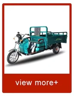 Tuk-Tuk Mobile Electric Three-Wheeled Passenger Tricycle