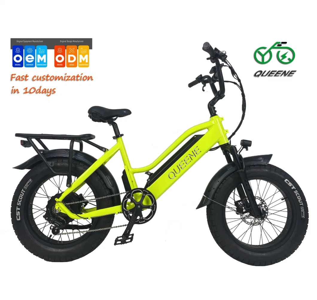 Queene/20 Inch 350W 500W 750W 36V 48V 10ah 15ah 20ah Shimano 7 Speed Folding E Bike Fat Tire Electric Bike