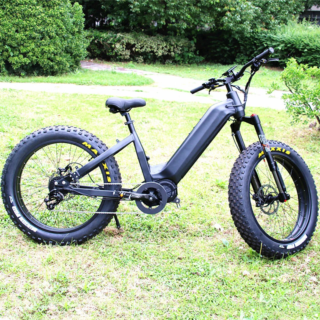 Aluminum Alloy Step Thru Frame E-Bike 1000W MID Motor 48V 30ah Lio Battery Electric Fat Bike