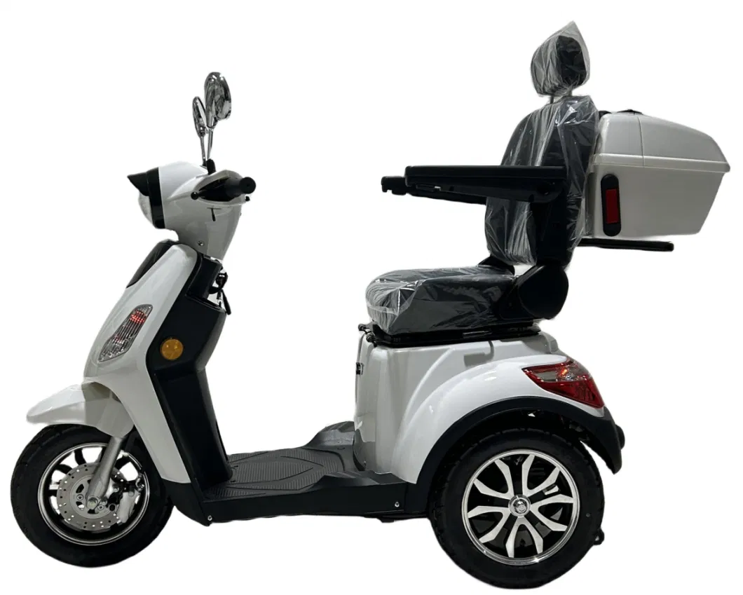 Fat Tire Three Wheel Motor Adult Battery Powered Electric Tricycles Powered Trike for Elderly Leisure Passenger