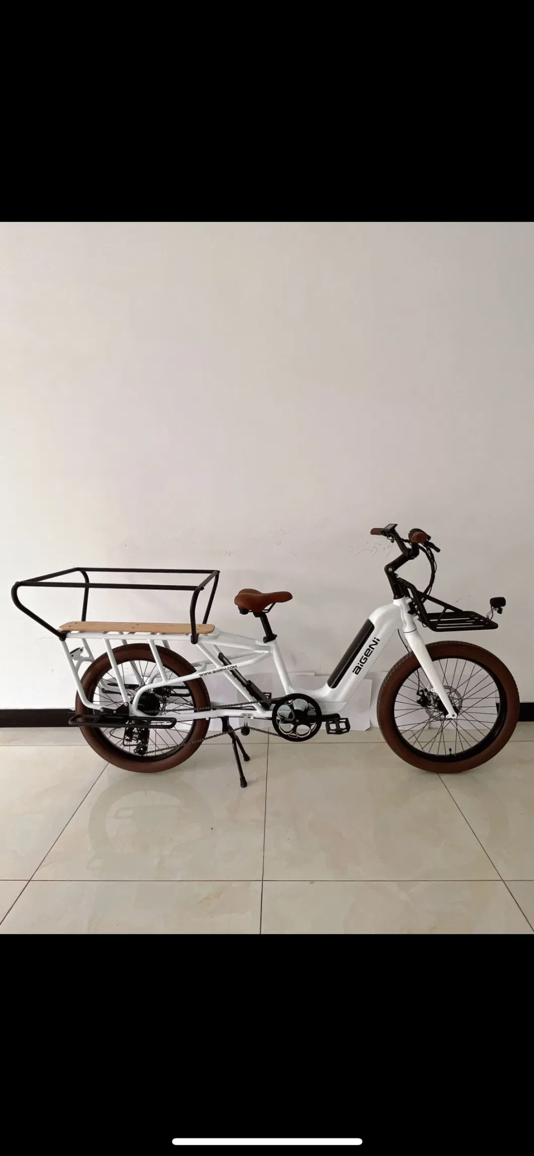 New Cargo Ebike 48V 350W Fat Tire Family Electric Bicycle Af2422