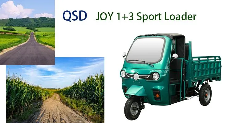 60V 4000W Electric Rickshaw for Cargo Use OEM Loader Tricycle