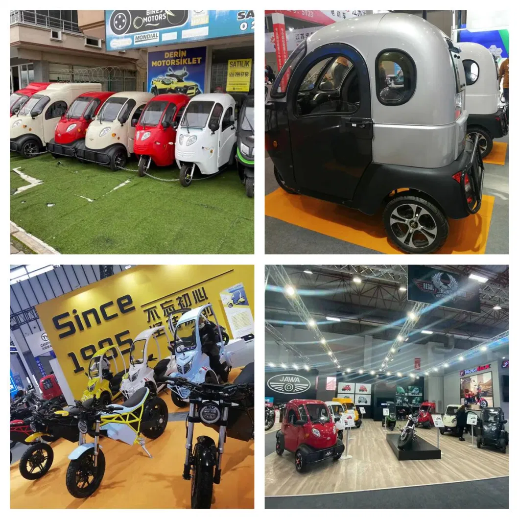 Enclosed Electric Tricycle Trike for Passenger 3 Wheel Motorcycle for Sale