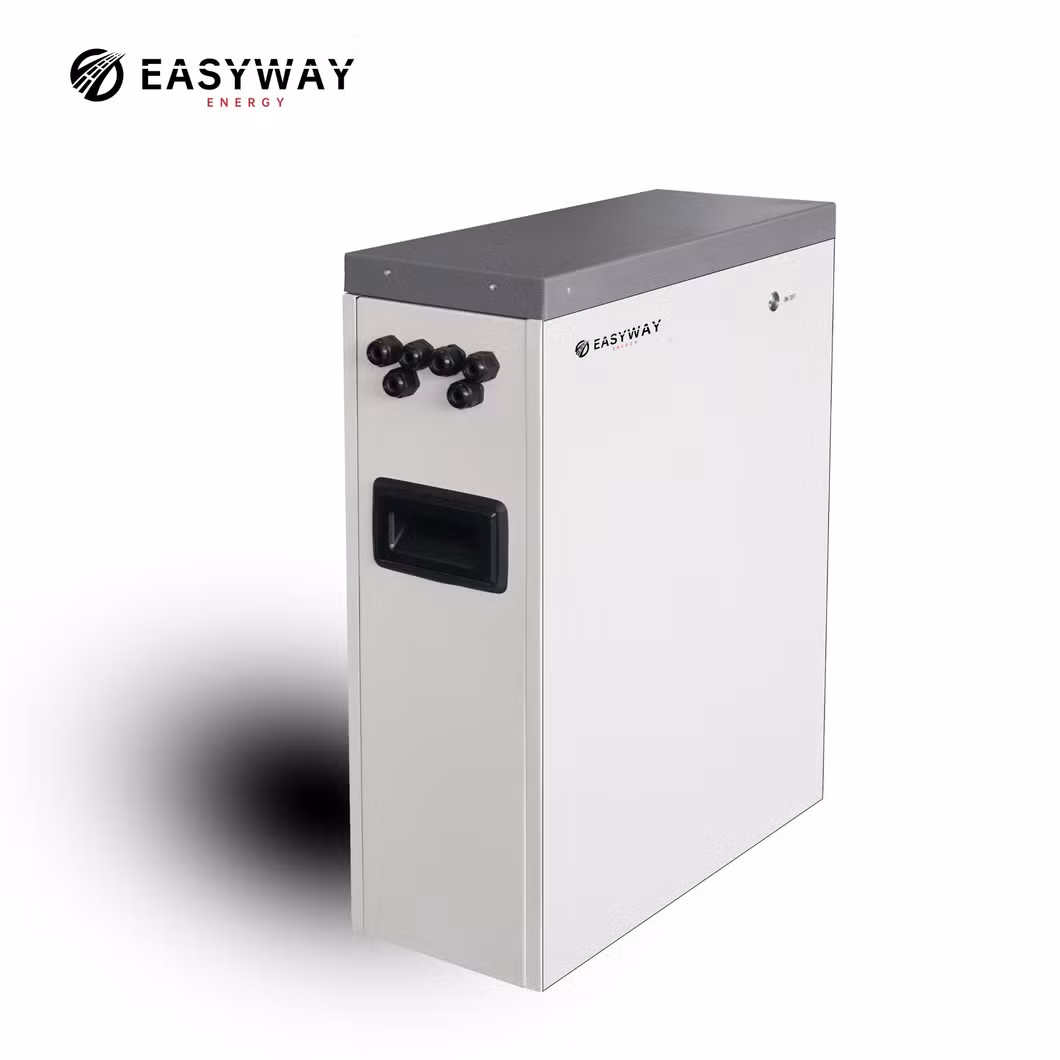 Rechargeable Lithium Ion 48V 51.2V 5.12kwh 10kwh LiFePO4 Solar Battery with BMS Solar System for Solar Wind Energy Storage