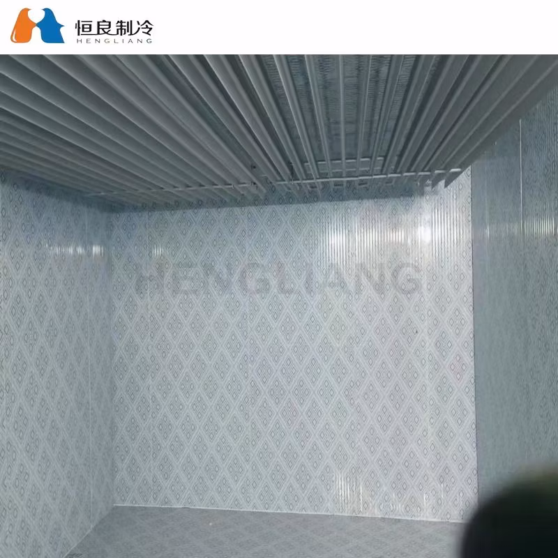 Hengliang Il Miglior Magazzino a Freddo per il Risparmio Energetico e il Risparmio di Energia