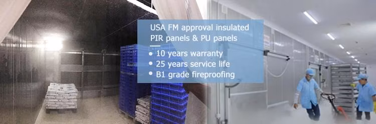 Wholesale Meat Frozen Fish Cold Storage Blast Freezer Warehouse Energy Efficient Walk-in Freezer