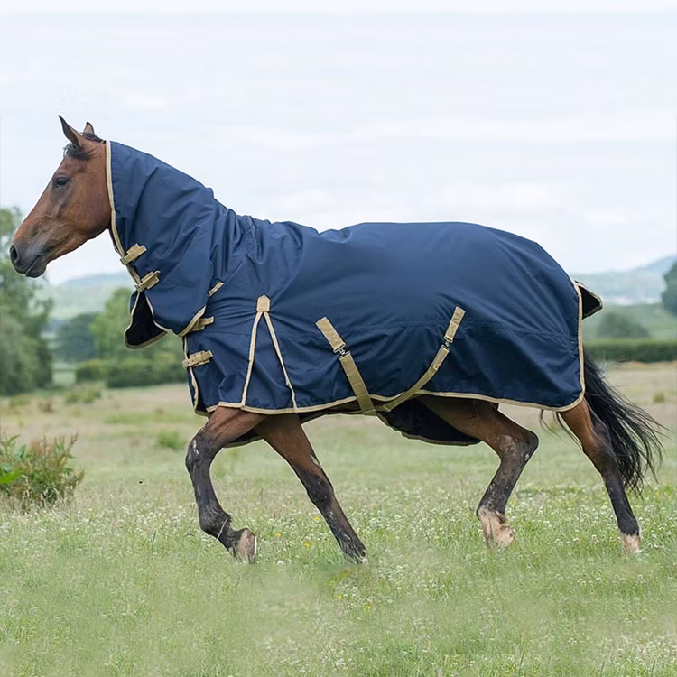 Good Quality Rugs Windproof Stable Comfortable Durable Summer Dry Horse Rug