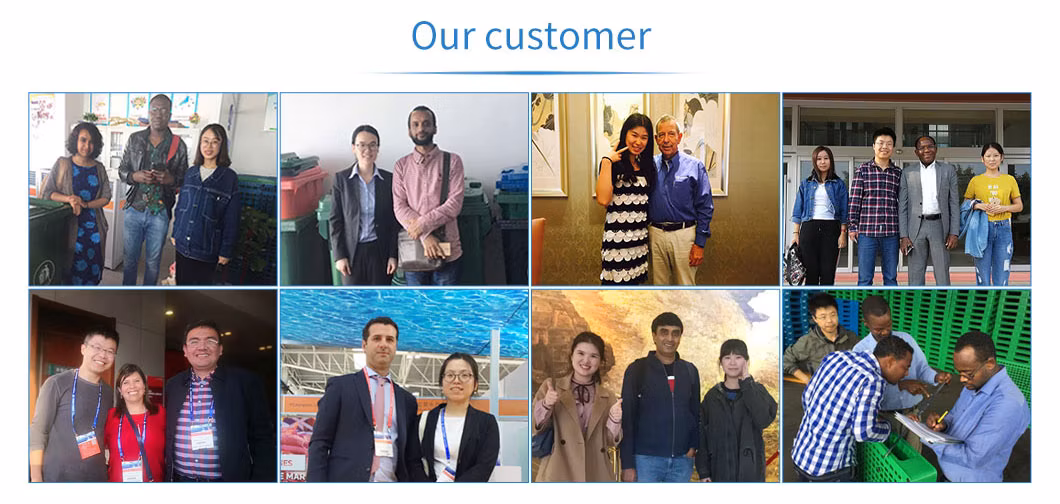 Single Face 1200*1000 Assorted Color Block HDPE Material Nestable Euro Type Standard Size Heavy Duty Reusable Plastic Pallet for Shipping