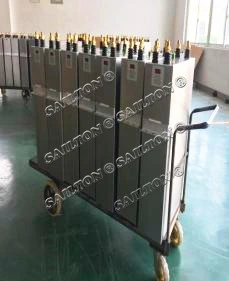 Sailton Brand High Voltage Shunt Capacitor Power Capacitor Bam Searies