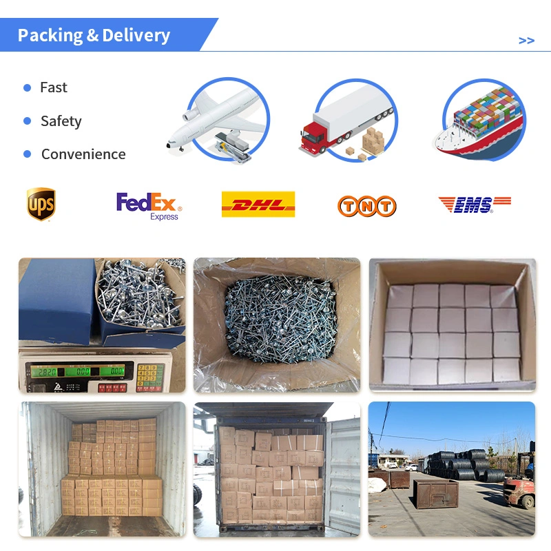 Asbestos Tile Nails Corrugated Nails Big Head Nails Corrugated Nails Color Steel Tile Nails Umbrella Nail Supply Corrugated Nails Asbestos Tile Nails Corrugated