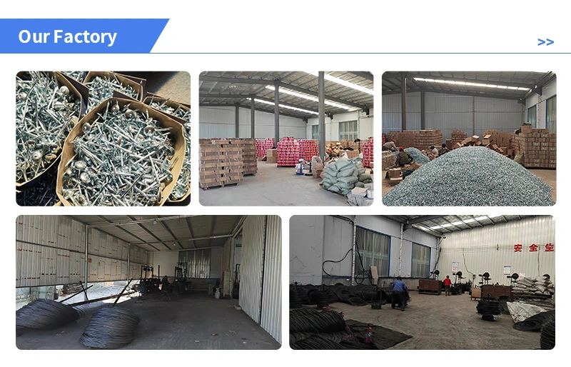 Asbestos Tile Nails Corrugated Nails Big Head Nails Corrugated Nails Color Steel Tile Nails Umbrella Nail Supply Corrugated Nails Asbestos Tile Nails Corrugated