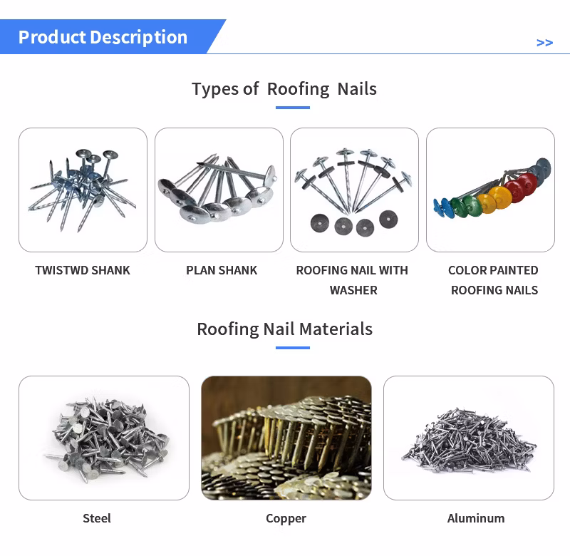 Corrugated Nails Umbrella Cap Nails Corrugated Nails with Cap Nails Corrugated Nails Color Steel Nails Corrugated Nails Big Head Umbrella Cap Corrugated Nails
