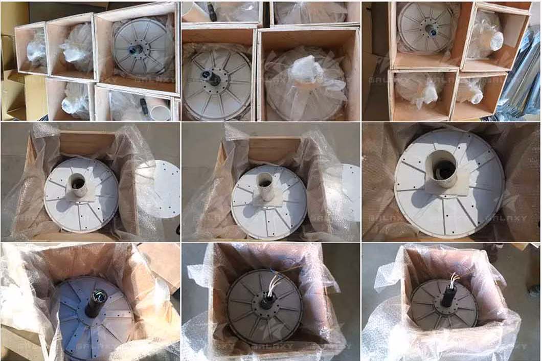 Hybrid Permanent Magnet Generator 150rpm 1kw Disk-Type Permanent Magnet Generator Coreless Generator Coreless Maglev Generator