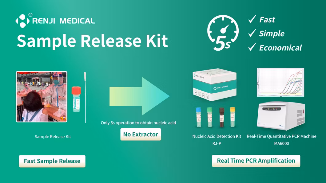 Sample Release Kit Reagent Nucleic Acid Rna DNA Extraction-Free Vtm Kit One Step PCR Test Method