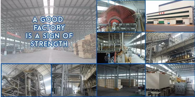 Furniture Grade 9mm 12mm 15mm Hinoki Wall Cladding Interior Wood