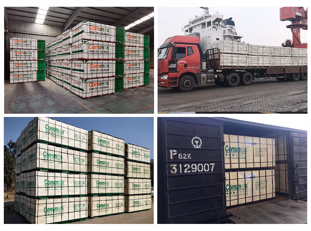 Professional 5mm 6mm 9mm Waterproof Furniture Grade OSB OSB3 Oriented Strand Boards OSB Wood Plywood Manufacturers