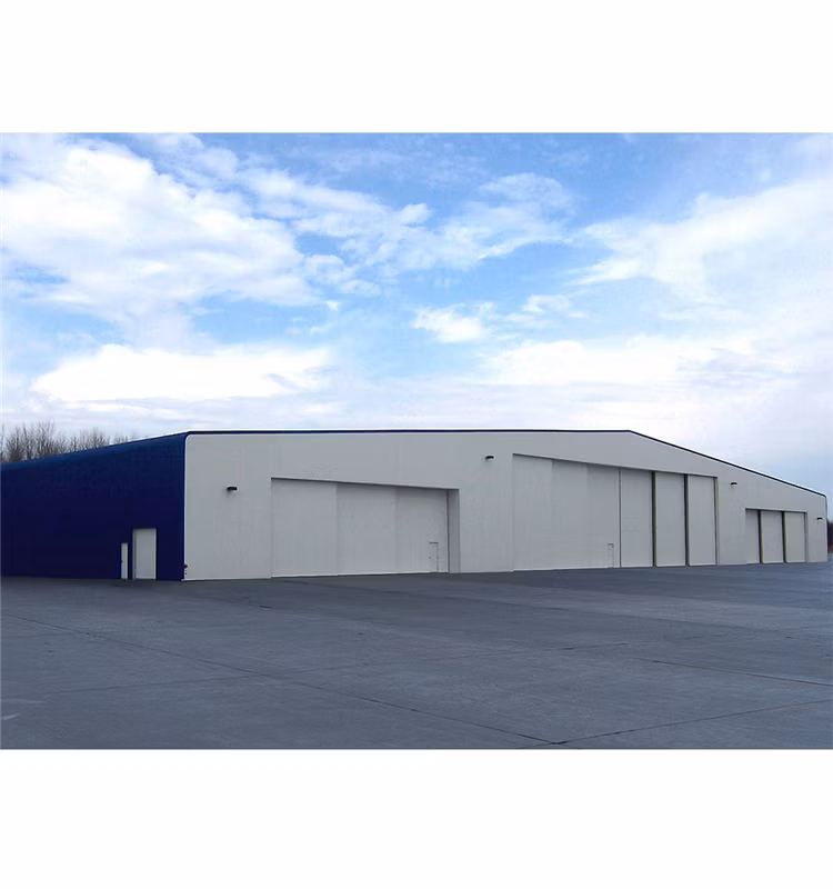 Prefabricated Light Metal Portable Airplane Aircraft Storage Construction Buildings Hangar (TW408J)