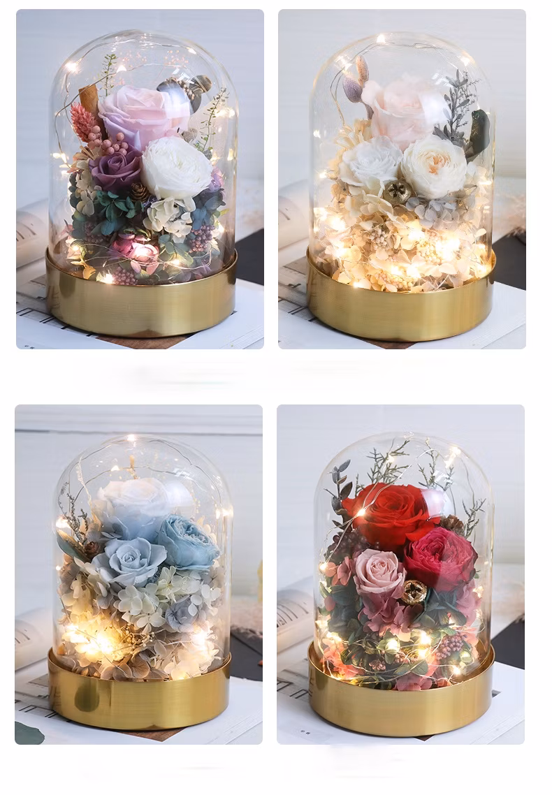 Valentine Gifts Her Preserved Real Rose Enchanted Real Rose with Jewelry Box Gifts Mom Women Wife Girlfriend on Birthday, Anniversary, Wedding Flower