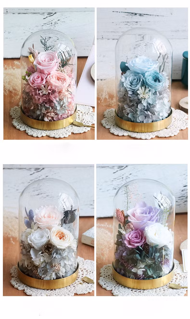 Valentine Gifts Her Preserved Real Rose Enchanted Real Rose with Jewelry Box Gifts Mom Women Wife Girlfriend on Birthday, Anniversary, Wedding Flower