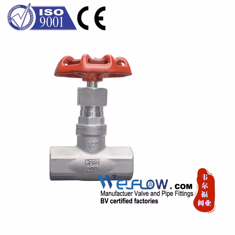 Xxnx SS304 201 Stainless Steel H71W DN65 Pn16 Pn25 3/8 DN15-DN100 Pn25 8 Inch Non Return One Way Disc Wafer Single Plate Flange Spring Check Valve