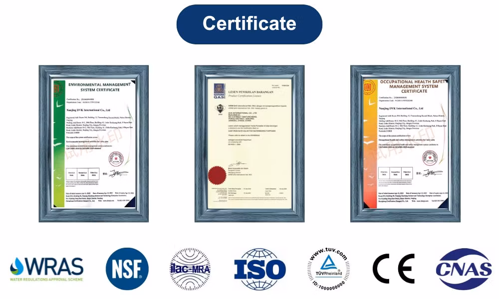ODM Manufacturer Pn16 Ductile Iron/Stainless Steel Non Return/Swing/Dual Plate/Disc/Wafer Type Pressure Relief/Control/Ball/Globe/Gate/Butterfly/Check Valve