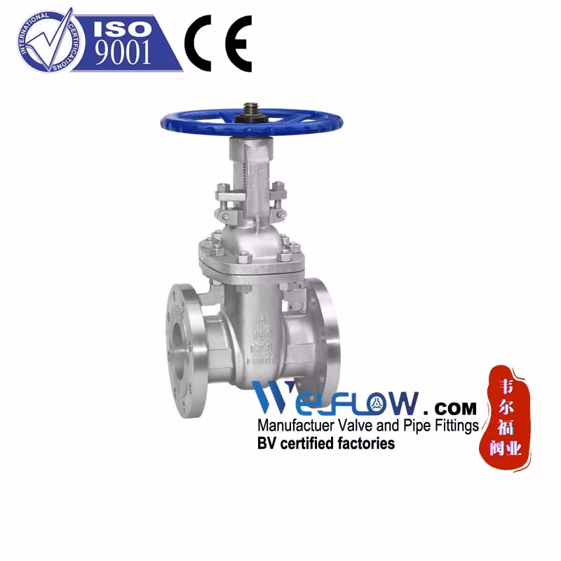 Xxnx SS304 201 Stainless Steel H71W DN65 Pn16 Pn25 3/8 DN15-DN100 Pn25 8 Inch Non Return One Way Disc Wafer Single Plate Flange Spring Check Valve