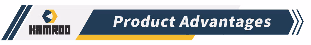 Kamroo Factory High Pressure Cryogenic Wcb Swing Lift Weld Stop Pressure Relief/Gate/Globe/Ball/Butterfly/Control/Check Valve for Low Temperature Industrial Use