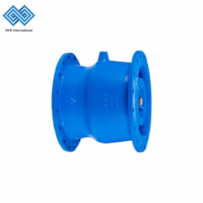 ODM Manufacturer Pn16 Ductile Iron/Stainless Steel Non Return/Swing/Dual Plate/Disc/Wafer Type Pressure Relief/Control/Ball/Globe/Gate/Butterfly/Check Valve