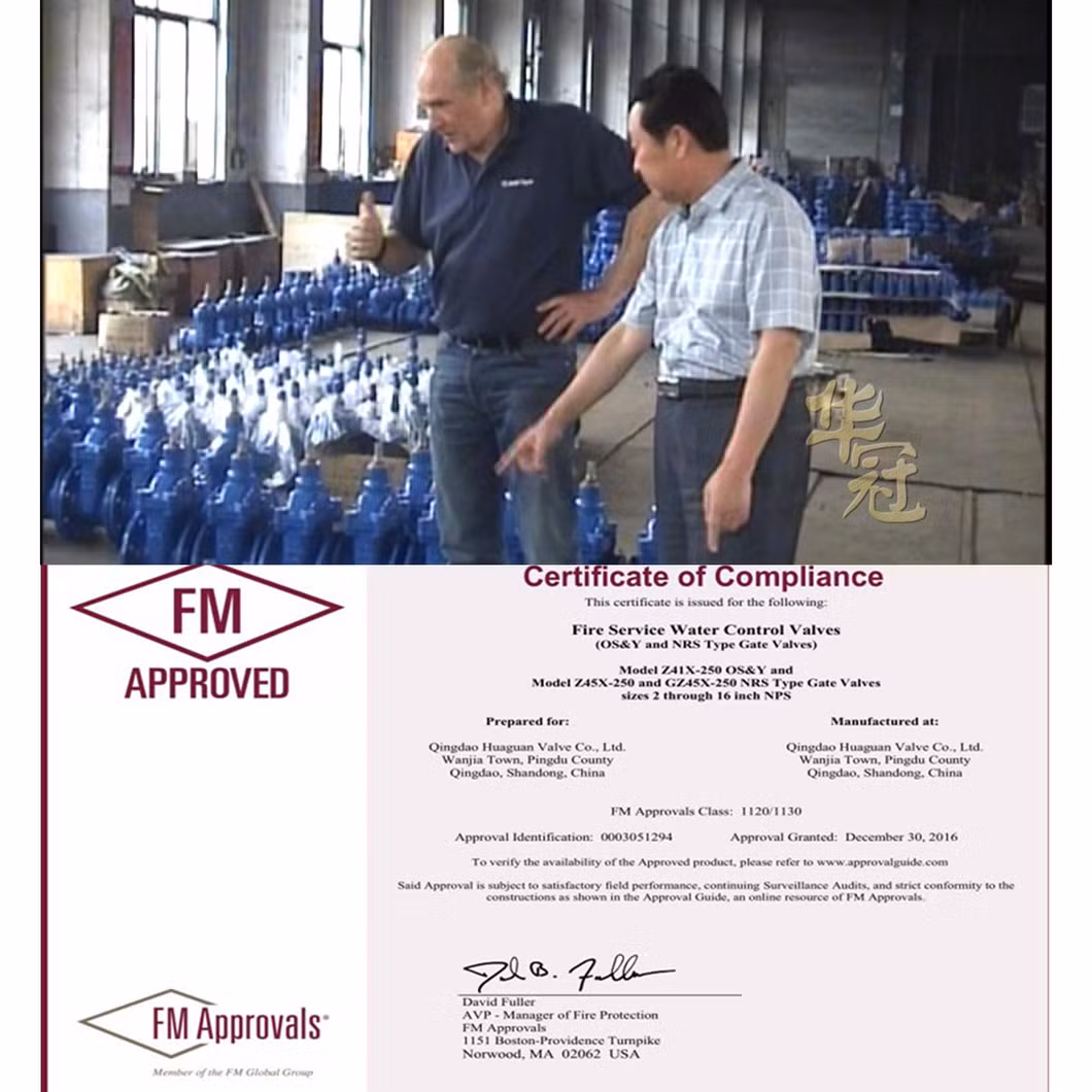 Durable Swing Check Valve for Efficient Fluid Control Solutions; Awwa C515, Knife Gate Valve