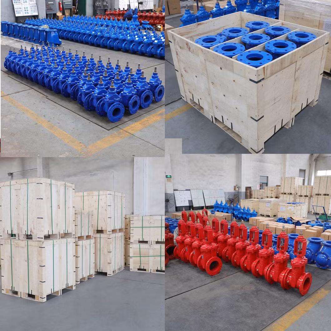 Premium Ductile Iron Silent Check Valve with Flange Connections for Drinking and Irrigation Water; Certified Gate Valve, Swing, Knife;
