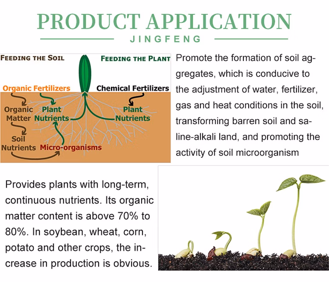Quick Release Fertilizer Ascophyllum Nodosum Seaweed Extract with 18% Alginic Acid