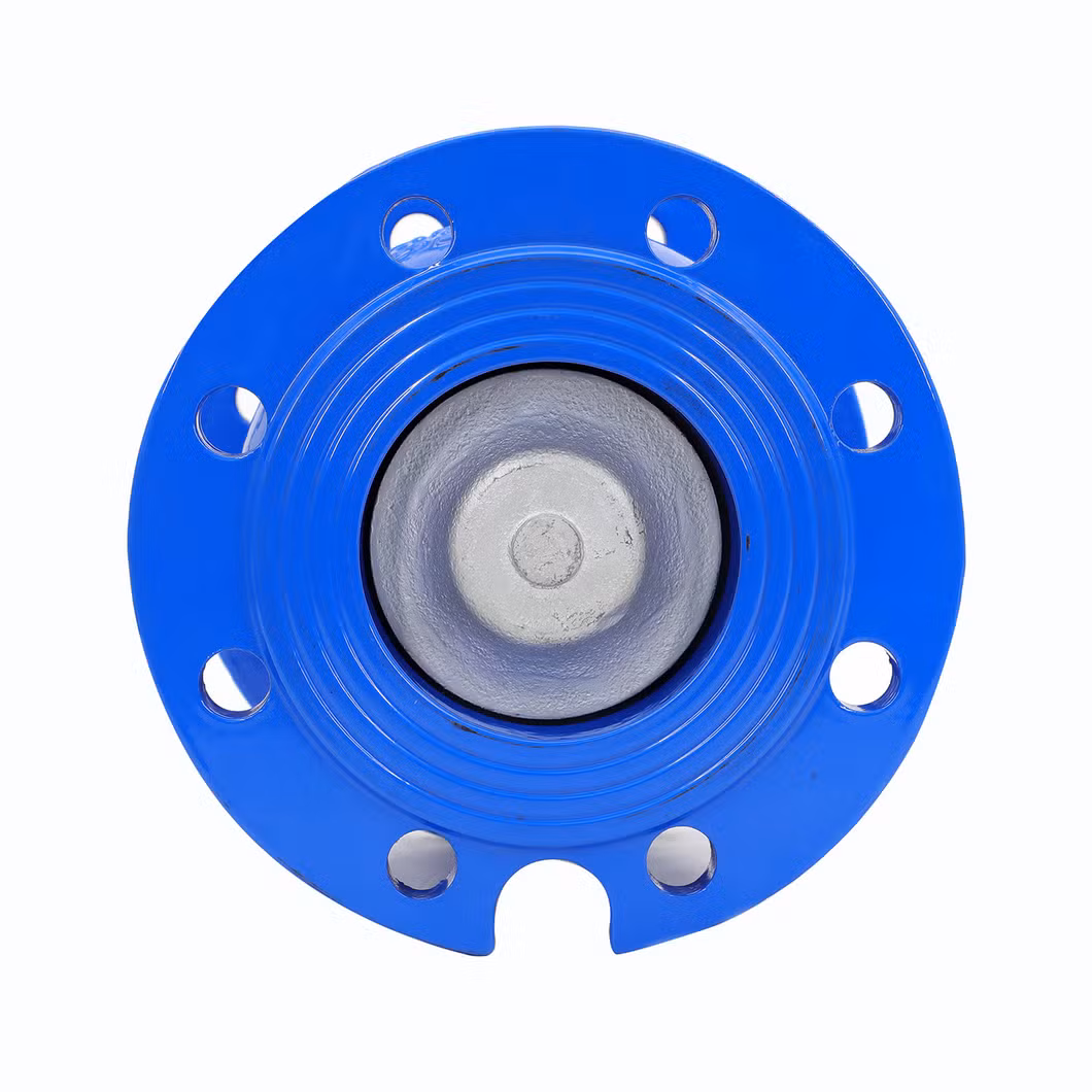 Premium Ductile Iron Silent Check Valve with Flange Connections for Drinking and Irrigation Water; Certified Gate Valve, Swing, Knife;