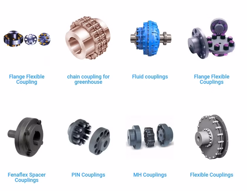 Motor Gear Coupling Reducer Couples Stainless Magnetic Conduit Hydraulic Matching Outfit Gear Coupling Quick Release Flexible
