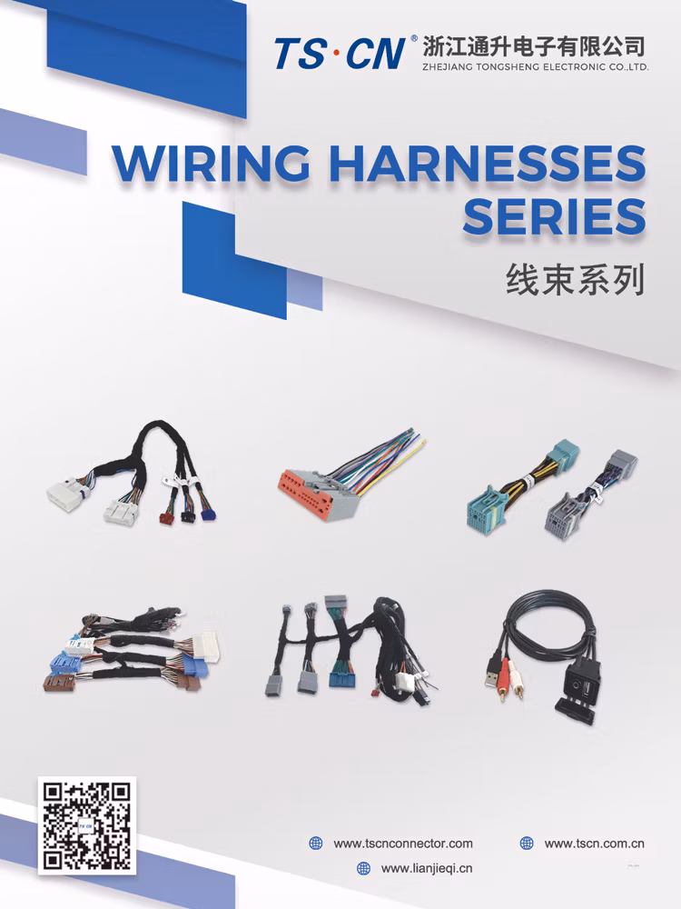 Auto Electrical Male Female Connector for Automobile Electric Car Connector ISO DSP Connector Wire Harness