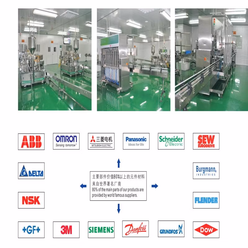 Automatic Vertical Servo Capping Machine Glass Plastic Spray Bottle Capping Machines