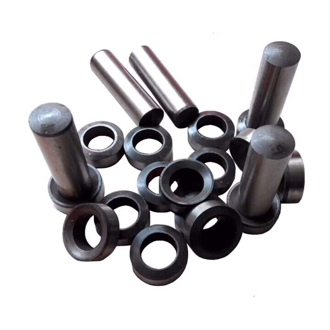Spare Parts for Stainless Steel Pump Rotor/Stator with Other Special Materials
