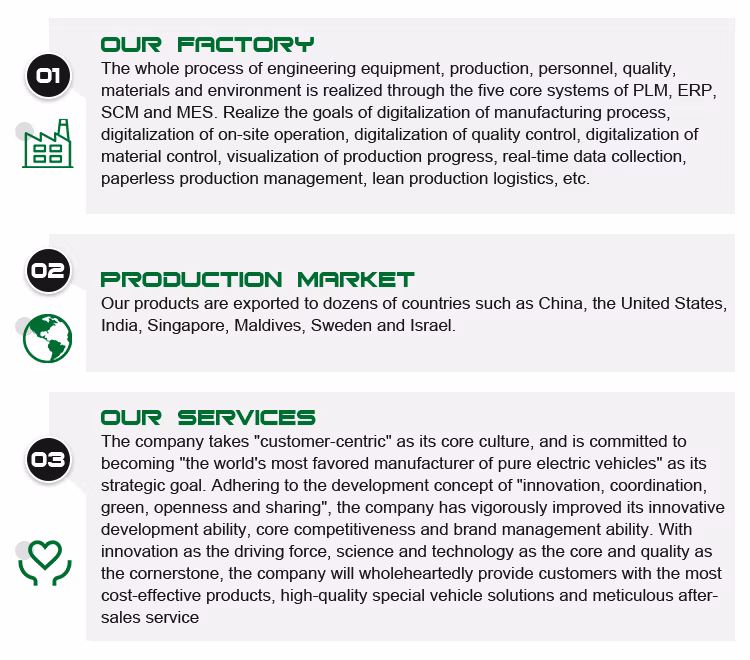 Charging Time 5-10h 45km/H Electric Commercial Vehicle Electric UTV Utility Vehicle Electric Vehicles for Elderly