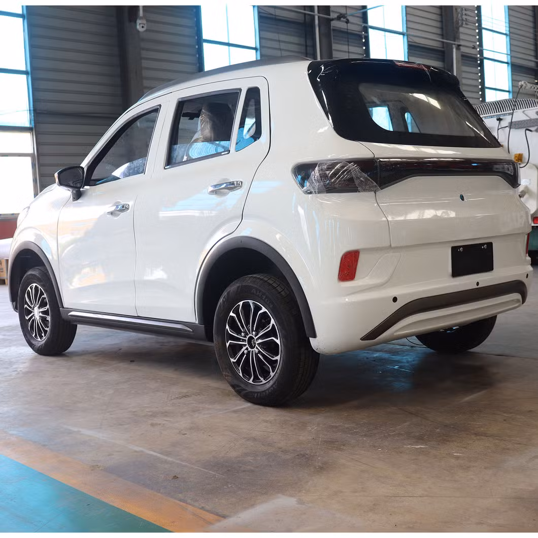 Charging Time 5-10h 45km/H Electric Commercial Vehicle Electric UTV Utility Vehicle Electric Vehicles for Elderly